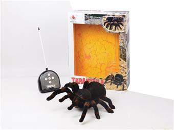 Remote control a tarantula (cross + demonstration function)   ITEM NO.： WAE020792