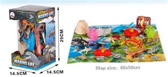 30PCS Marine Animal Display Boxes   ITEM NO.： W002698