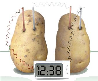 Potato Clock   ITEM NO.： W006832