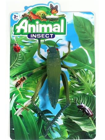 insect   ITEM NO.： W006724