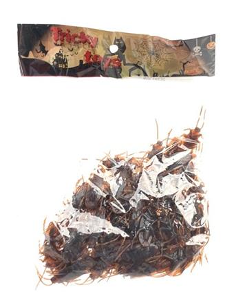 cockroach   ITEM NO.： W032662
