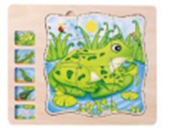 Multilayer Puzzle - Frog Growth Process   ITEM NO.： W044278