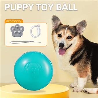 Pet toys, cat and dog toys, electric toys, teasing dogs, jumping balls   ITEM NO.： W062232