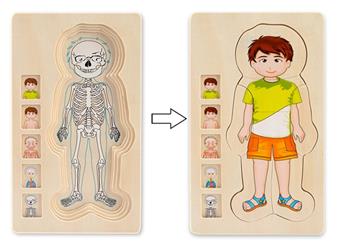 Multi layer Puzzle - Human Body Structure (Boy)   ITEM NO.： W044282