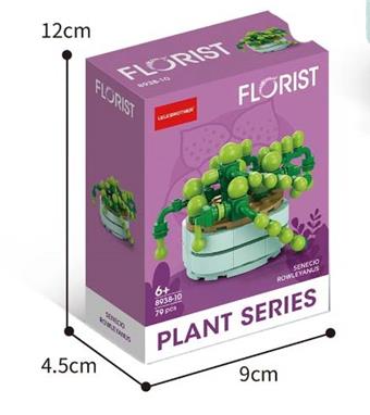 Pearl chlorophytum comosum 79PCS (low price impulse fund)   ITEM NO.： W044968