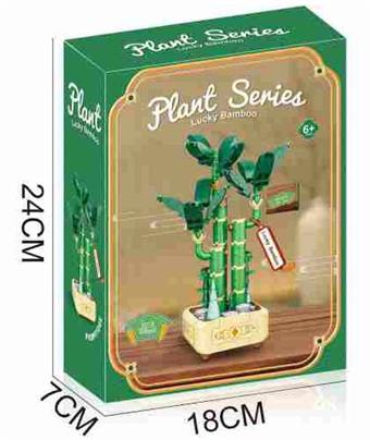 Dracaena sanderiana 308PCS Flower Series   ITEM NO.： W059991