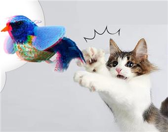 Pet Toys, Cat Toys, Plush Toys, Bird Calling Series, Simulated Animals   ITEM NO.： W062440