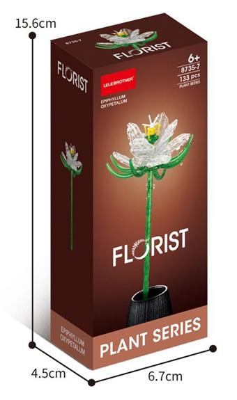 133PCS Epiphyllum   ITEM NO.： W045090