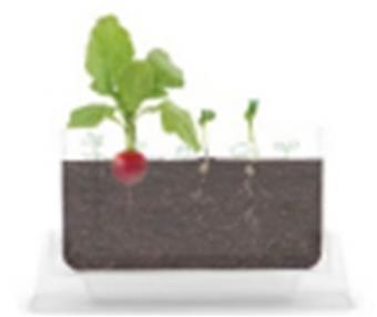 My Secret Garden - Little Plant Researcher   ITEM NO.： W044166