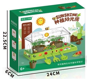 DIY Planting   ITEM NO.： W062029