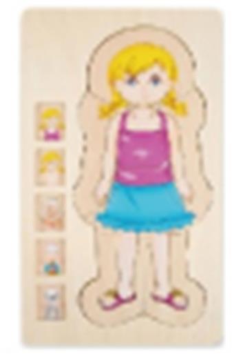 Multi layer Puzzle - Human Body Structure (Girl)   ITEM NO.： W044283