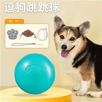 Pet toys, cat and dog toys, electric toys, teasing dogs, jumping balls, and cloth bags   ITEM NO.： W062234