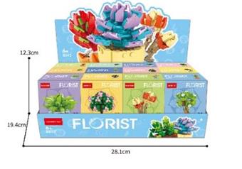 3/12 succulent potted plants (low-priced impulse version)   ITEM NO.： W044939