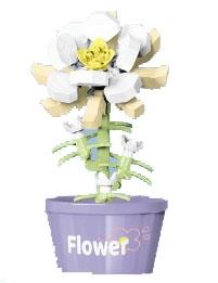 Epiphyllum 100PCS low-priced impulse version - Micro particle building blocks   ITEM NO.： W044678