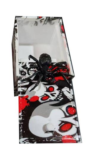 Spider prank box   ITEM NO.： W042629