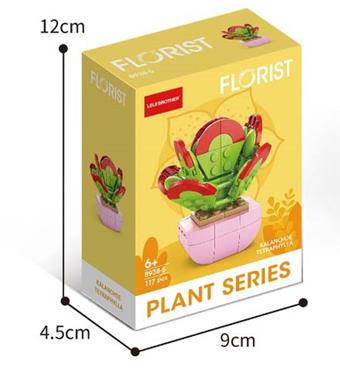 Tangyin 117PCS (low-priced impulse version)   ITEM NO.： W044973