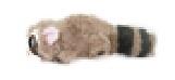 Pet Toys, Cat Toys, Plush Toys, Tail Swinging Series, Simulated Animals   ITEM NO.： W062499