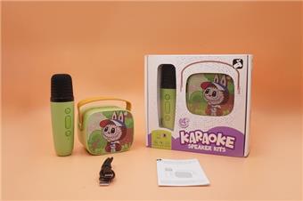 Rubble single label karaoke set karaoke machine singing microphone singing machine microphone audio set   ITEM NO.： W076510