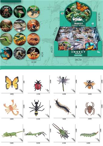 Insect series (48PCS)   ITEM NO.： W077920