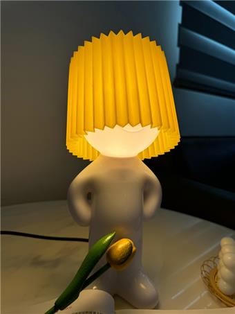 Shy little brother desk lamp with cable plug (European standard)   ITEM NO.： W088170