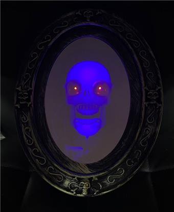 Skeleton Mirror   ITEM NO.： W089258
