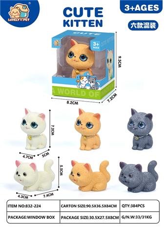 Pet cats playing at home   ITEM NO.： W091250
