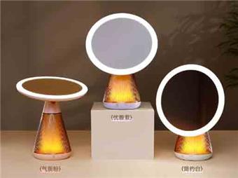 Mirror light&nbsp;&nbsp;&nbsp;ITEM NO.： W108555