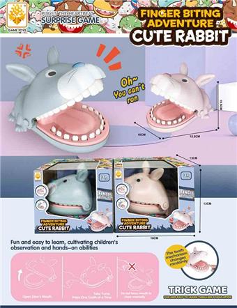 Cute and adorable rabbit&nbsp;&nbsp;&nbsp;ITEM NO.： W107751